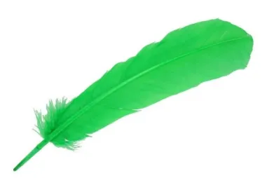 Federn - Lose Federn - 30-35cm - grün - 79584