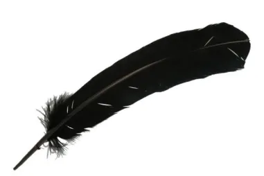Federn - Lose Federn - 30-35cm - schwarz - 79581