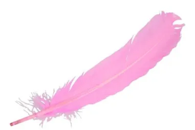Diversen - Losse veren - 30-35 cm - roze - 79585