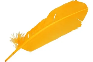 Verschiedenes - Lose Federn - 30-35cm - gelb - 79593