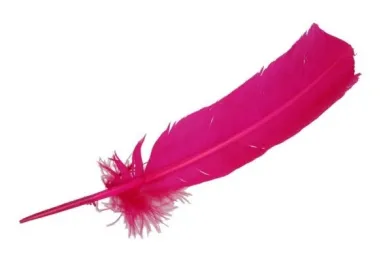 Diversen - Losse veren - 30-35 cm - fuchsia - 79586