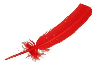 Diversen - Losse veren - 30-35cm - rood - 79588