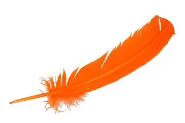 Federn - Lose Federn - 30-35cm - orange - 79592