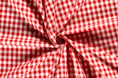 Stoffe - NB 5635-15 Baumwolle Boerenbont Karo rot 1 cm