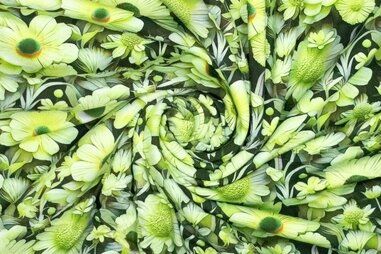 Apfelgrün - Jersey - digital 3D - Blumen - grün - 922868-11
