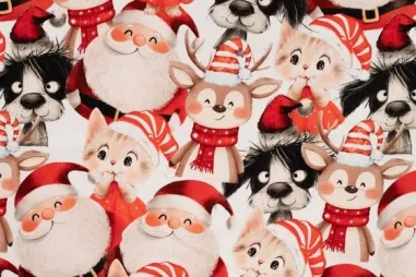Kerstman motief - Tricot stof - French Terry - christmas family - rood - 7005-150