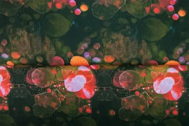 Stenzo Stoffe - Tricot stof - digitaal fantasie - groen - 26013-13