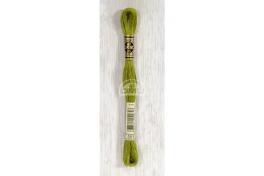 Nieuwe fournituren - DMC Mouliné splijtzijde - groen - 0581