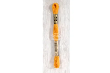 Nieuwe fournituren - DMC Mouliné splijtzijde - oranje - 0741