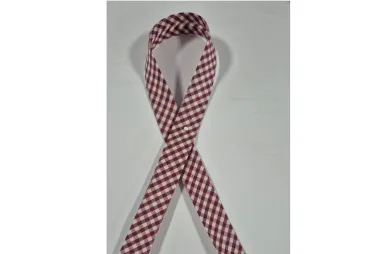 Nieuwe fournituren - Biasband 18 mm - ruiten - bordeaux - 7440-48