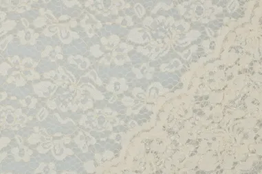 Spitzenstoff kaufen - Kant stof - bloemen - ecru - 1613-014