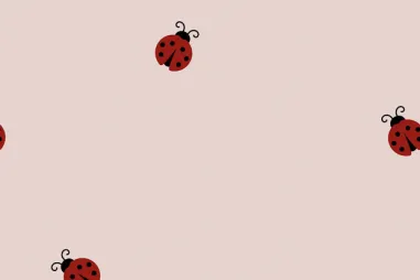 Kunstleer stof - wijnrood - 1268-057 - Flanel stof - lieveheersbeestjes - roze - 26/24326-011