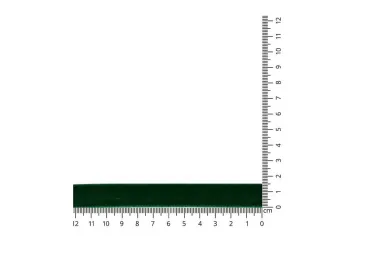 Fluweelband - Fluweelband 15 mm - donkergroen - 160-15-461