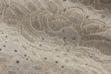 130gr/M² - Broderie stof - chenille - beige - 32/25255-052