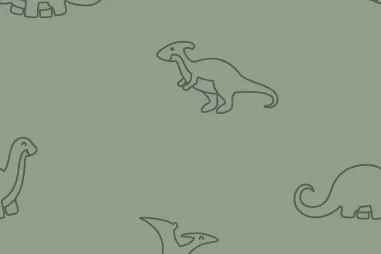 Badstoffen - Badstof - rekbare badstof - dino's - olijf - 23566-026