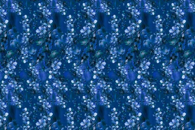 Legging - Tricot stof - bloemetjes - blauw - KN10022-15