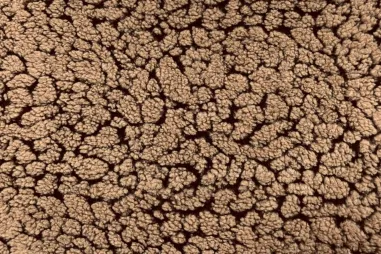 PS Fashion Fabrics - Teddy stof - fantasie - bruin - 416124-50