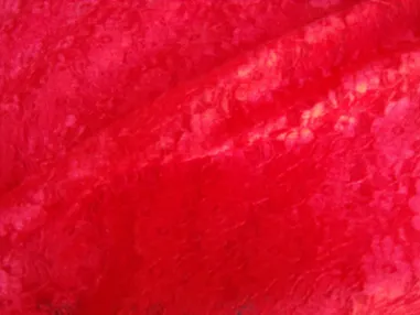 Laagjes kleding stoffen - Kant stof - rood - 4800-008