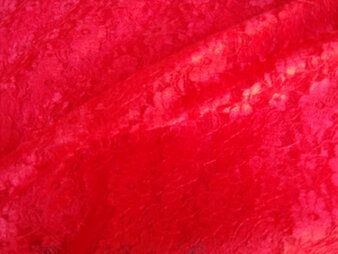 BU stoffen - Spitze - blumen - rot - 4800-008