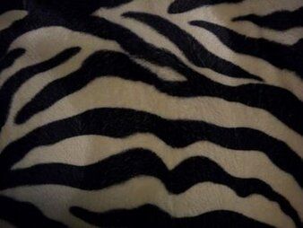 Interieurstoffen - Polyester stof - Dierenprint zebra zwart/off - white - 4511-051