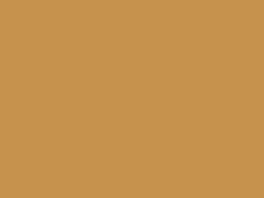 Deelbare blokritsen - Deelbare blok rits camel 75 cm.