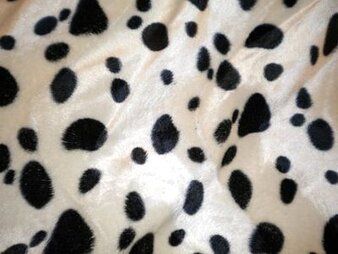 Kussen stoffen - Polyester stof - Dierenprint vlekjes off-white - zwart - 4499-051