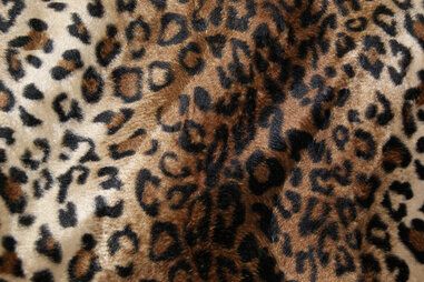 245gr/M² - Polyester stof - Dierenprint - cognac/zwart/beige - 4504-055