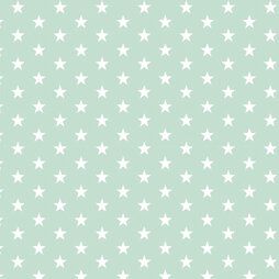 katoenen stoffen met ster - Katoen stof - little stars - mint - 4955-011